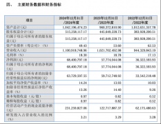 新天力IPO：不克不及给股市埋下一颗随时可能的