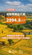 实现稳产丰收！全国夏粮总产量149738万吨