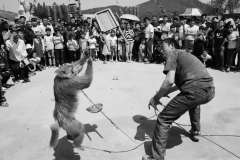 收集热点 从安康“杀猪宴”看陕南恒口“